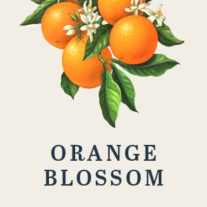 Orange Blossom Honey - Image 2
