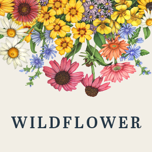 Wildflower Honey - Image 2